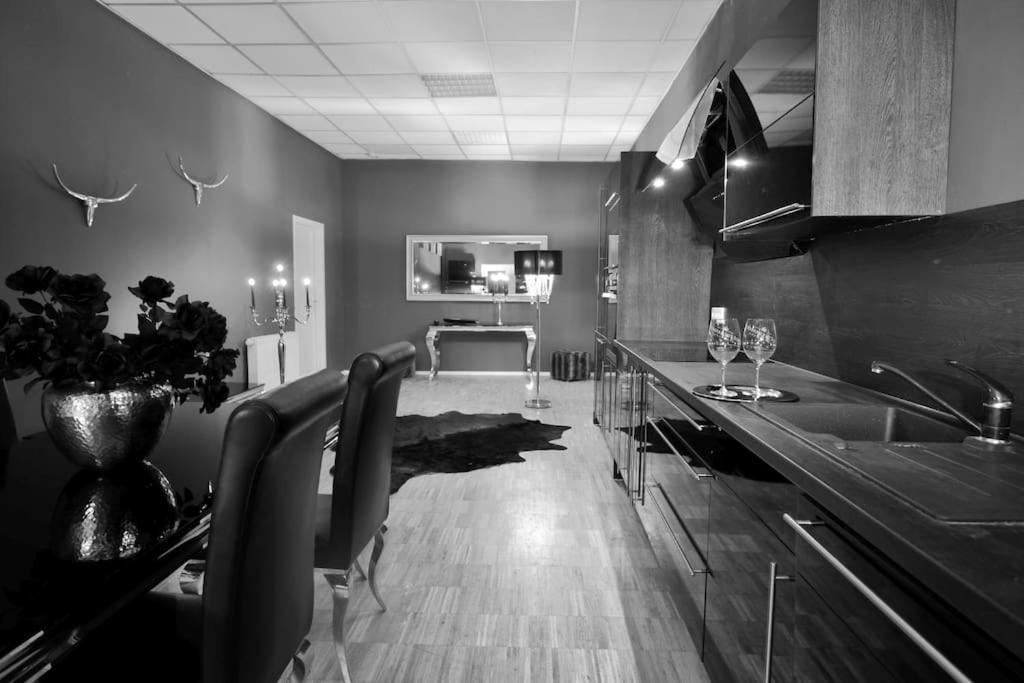 Fetischhaus Sm Apartment/Ferienwohnung Wiesbaden Eksteriør bilde